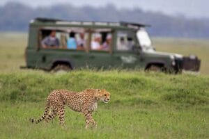 Sabi Sands Safari