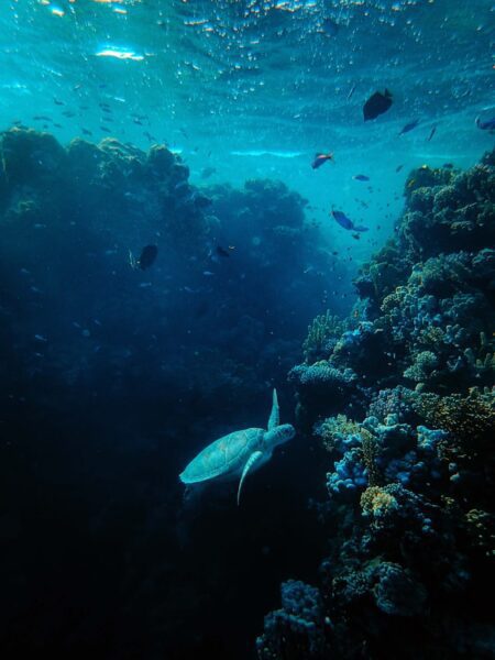 Great Barrier Reef