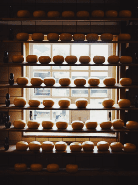 Dutch cheese Dutch cheese